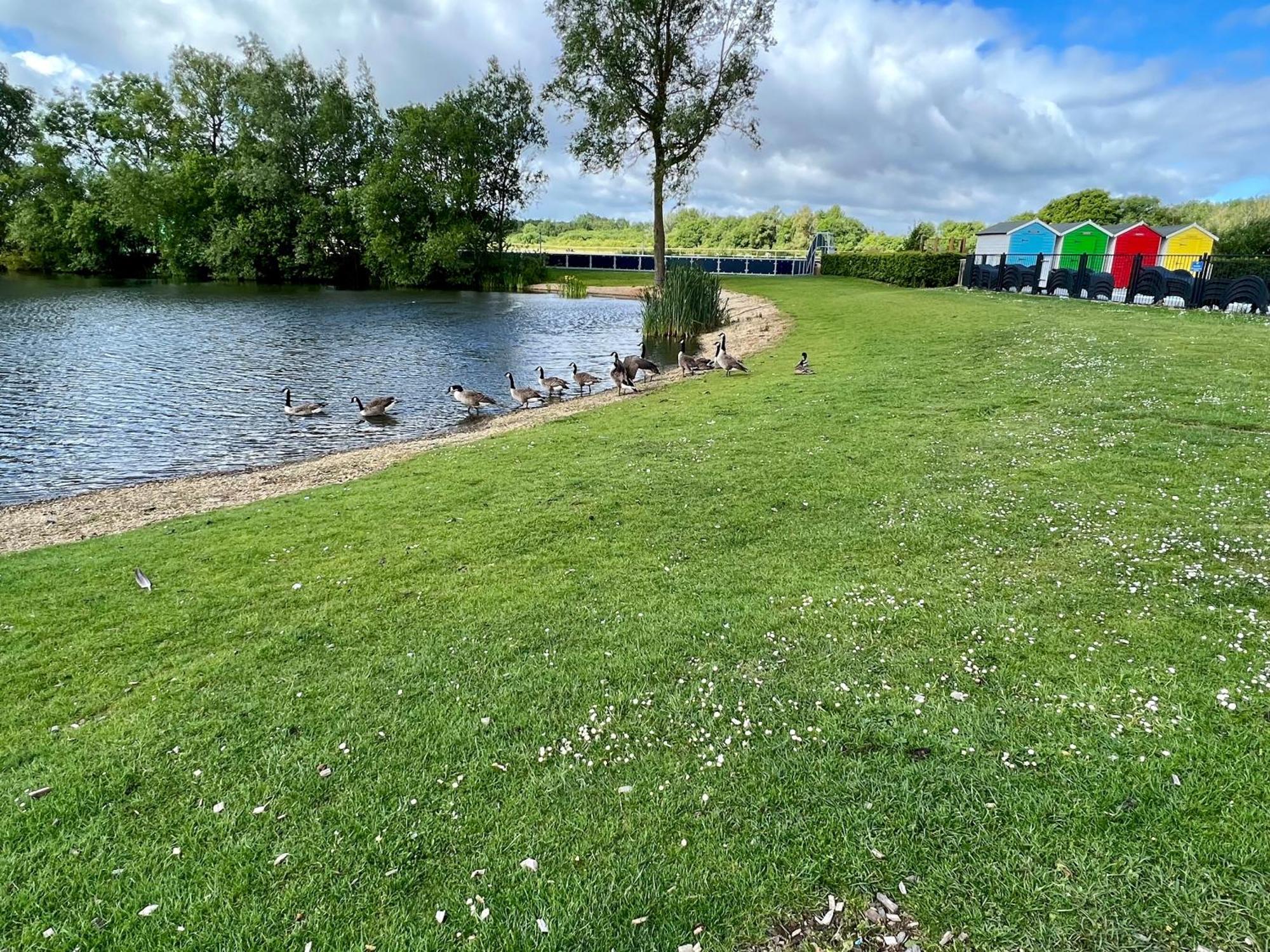 Wildflower, Premium Plus Hot Tub Lodge South Cerney Zewnętrze zdjęcie
